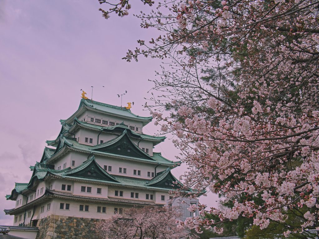 Scenic view of Nagoya Castle with cherry blossoms in full bloom highlighting traditional Japanese architecture.